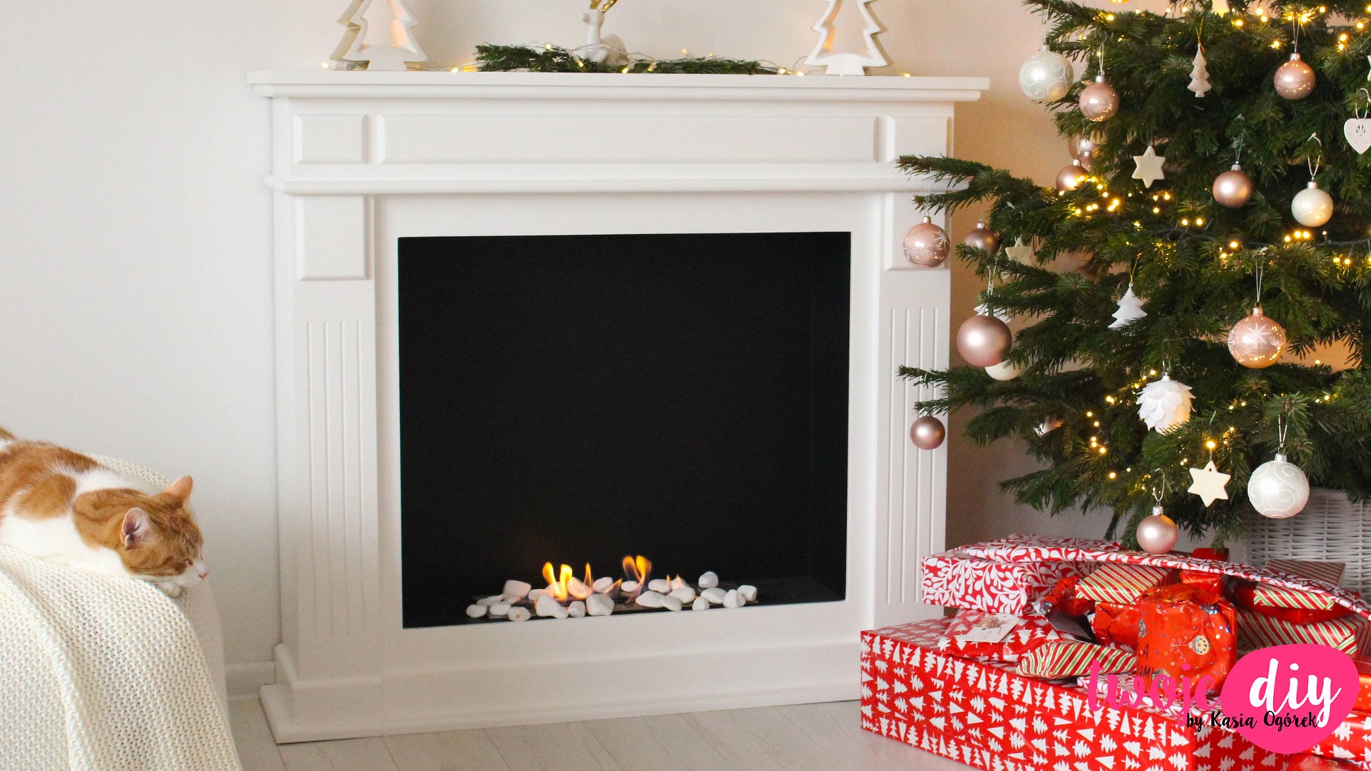 Portal Bioethanolkamin NOVEMBER TÜV Zubehörsatz